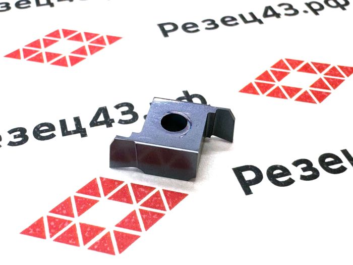 Пластина 9GR100 RDA